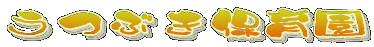 UTUBUKI